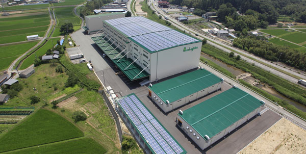 上空から見た写真1