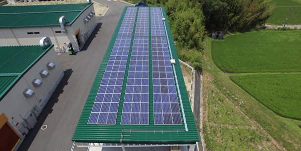 上空から見た写真2